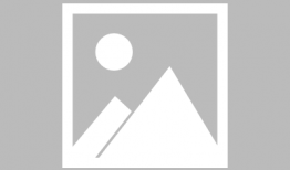 91直播在哪里看